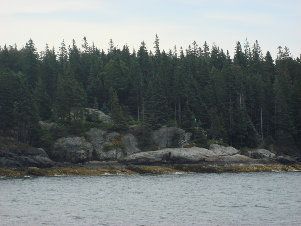 DSC03064 Typical Island shore near Castine