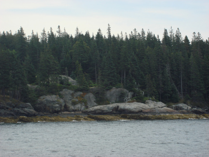 DSC03064 Typical Island shore near Castine
