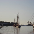 DSC03110 The fleet at Wooden Boat sail-in3.JPG